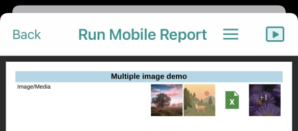 Media_thumbnails_in_mobile_report.png