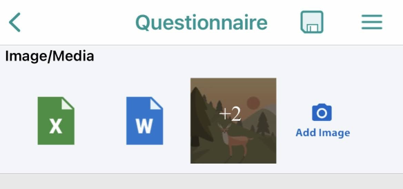 Media_thumbnails_in_the_questionnaire.png