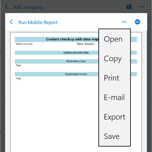Commands-on-the-report-form.png