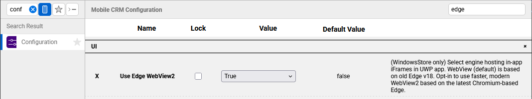 edge webview2 parameter in project configuration