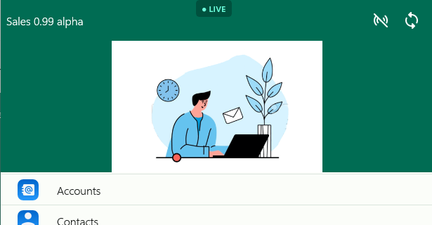 live preview connected