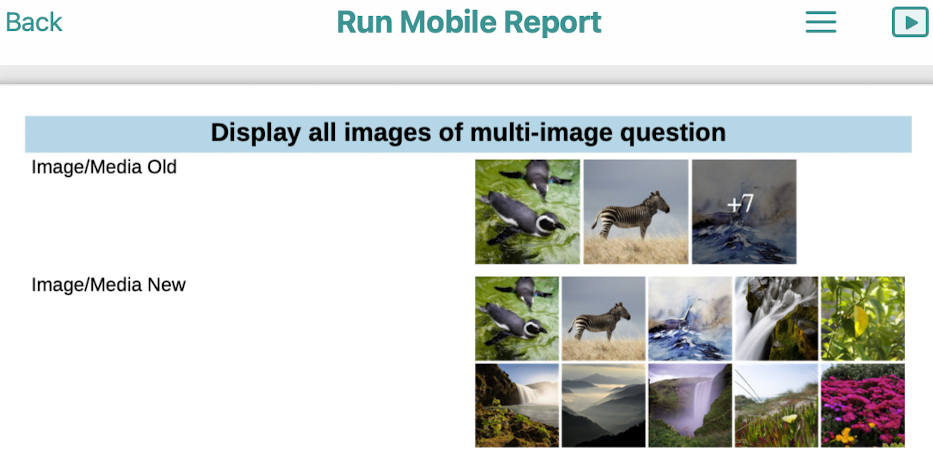 Finer_control_over_how_many_images_to_display.png