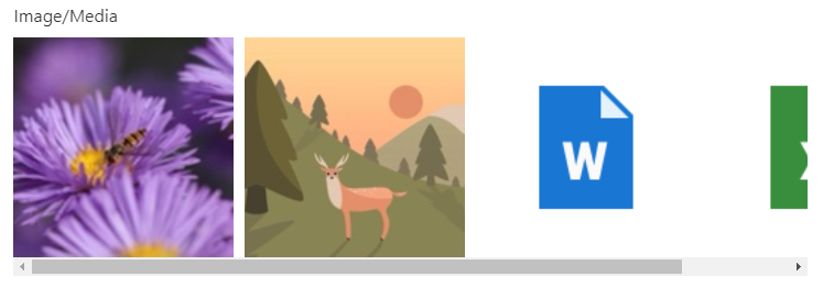 Media_gallery_in_the_result_viewer.png